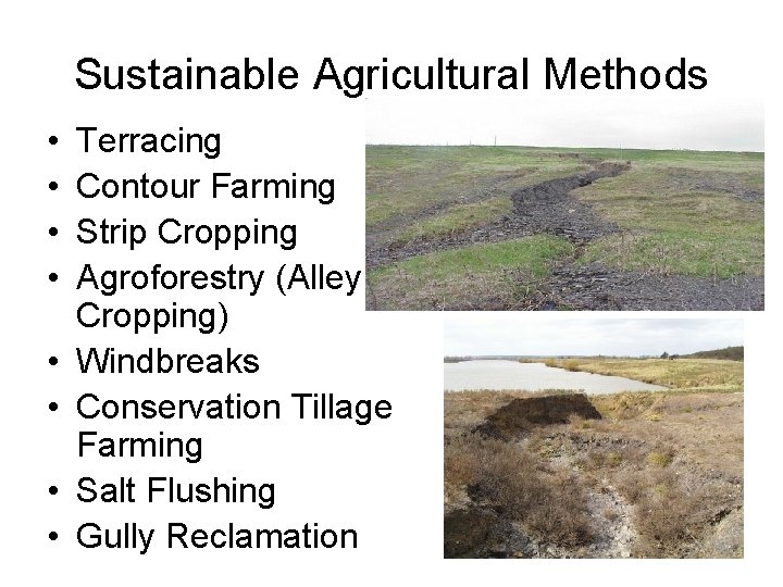 Sustainable Agricultural Methods • • Terracing Contour Farming Strip Cropping Agroforestry (Alley Cropping) Windbreaks