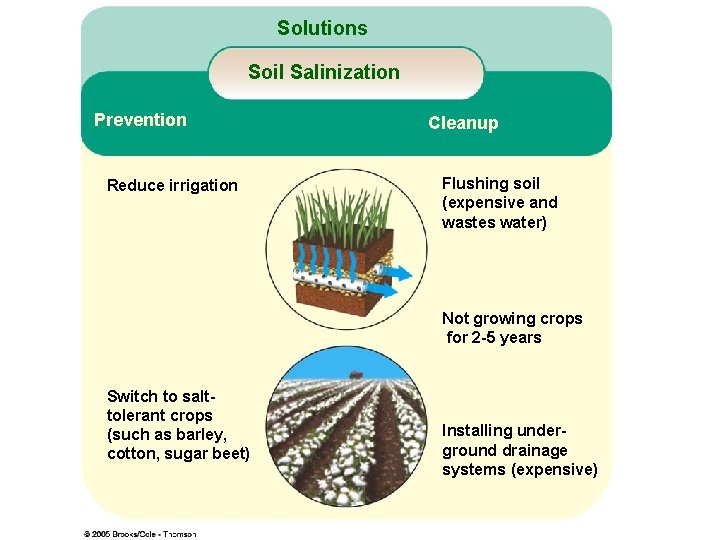 Figure 14 -12 Soil Salinization Page 283 Cleanup Solutions Prevention Reduce irrigation Flushing soil