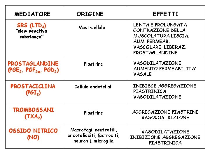 MEDIATORE SRS (LTD 4) “slow reactive substance” ORIGINE Mast-cellule EFFETTI LENTA E PROLUNGATA CONTRAZIONE