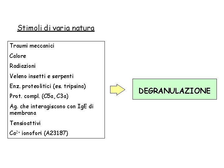 Stimoli di varia natura Traumi meccanici Calore Radiazioni Veleno insetti e serpenti Enz. proteolitici