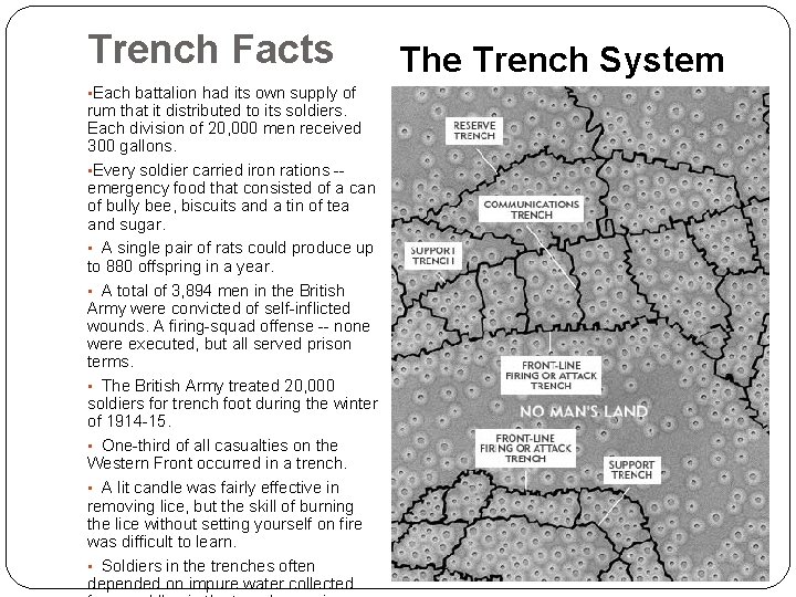 Trench Facts • Each battalion had its own supply of rum that it distributed