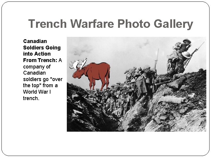 Trench Warfare Photo Gallery Canadian Soldiers Going into Action From Trench: A company of