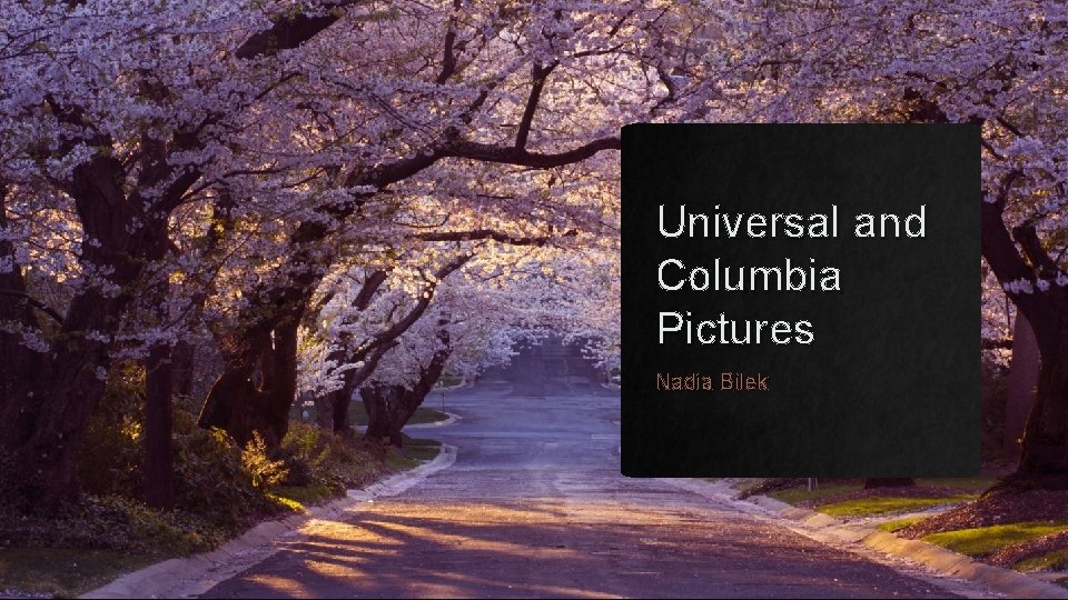 Universal and Columbia Pictures Nadia Bilek 