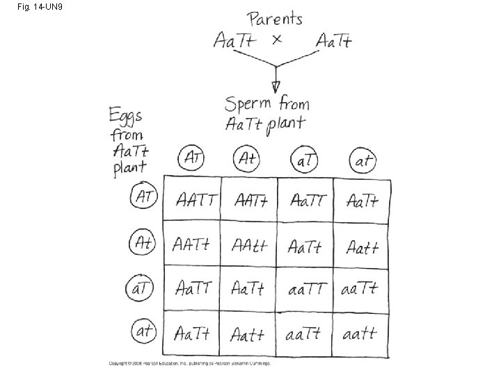 Fig. 14 -UN 9 