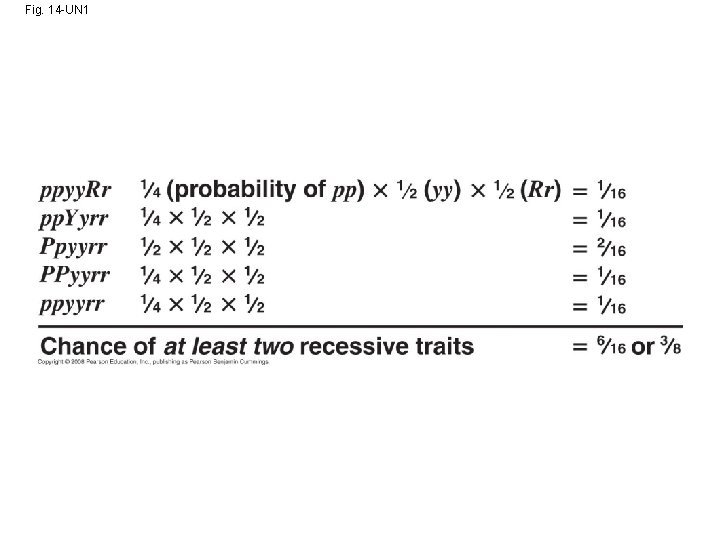 Fig. 14 -UN 1 