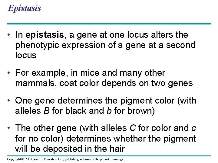 Epistasis • In epistasis, a gene at one locus alters the phenotypic expression of