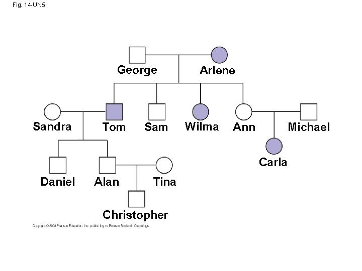 Fig. 14 -UN 5 George Sandra Tom Sam Arlene Wilma Ann Michael Carla Daniel