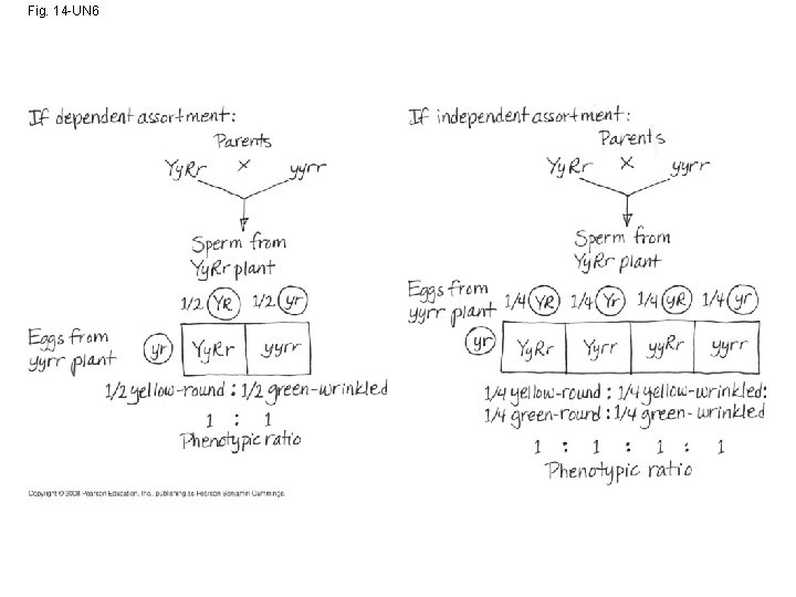 Fig. 14 -UN 6 