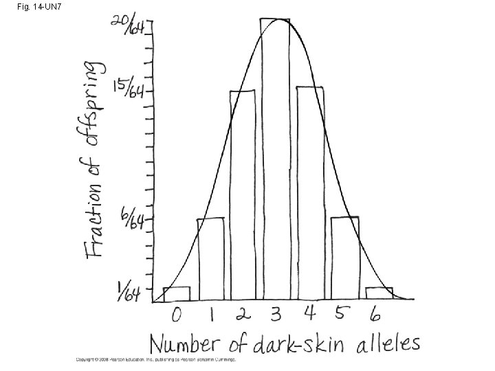 Fig. 14 -UN 7 