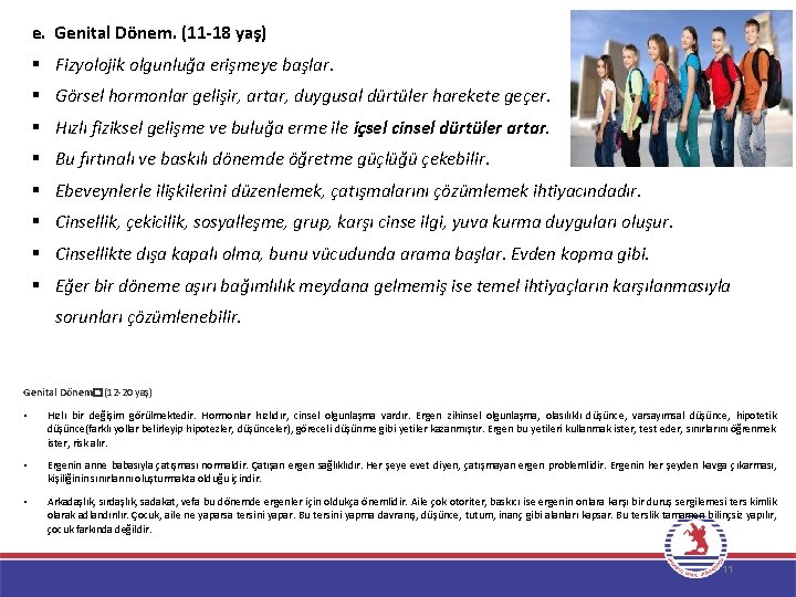 e. Genital Dönem. (11 -18 yaş) § Fizyolojik olgunluğa erişmeye başlar. § Görsel hormonlar