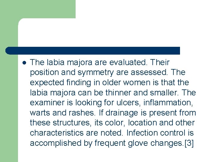 l The labia majora are evaluated. Their position and symmetry are assessed. The expected