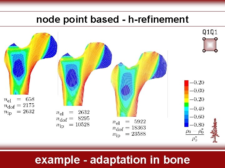node point based - h-refinement example - adaptation in bone 