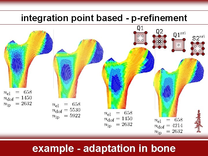 integration point based - p-refinement example - adaptation in bone 