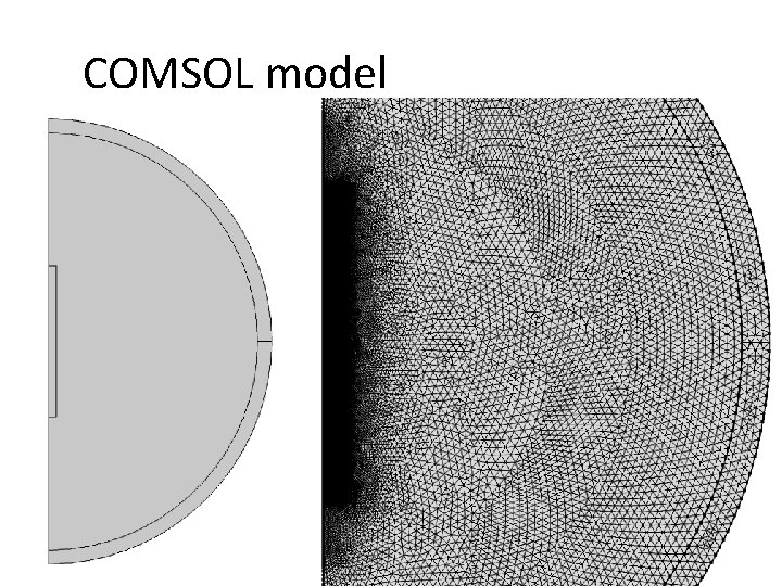 COMSOL model 