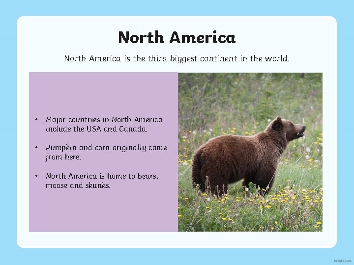 North America is the third biggest continent in the world. • Major countries in