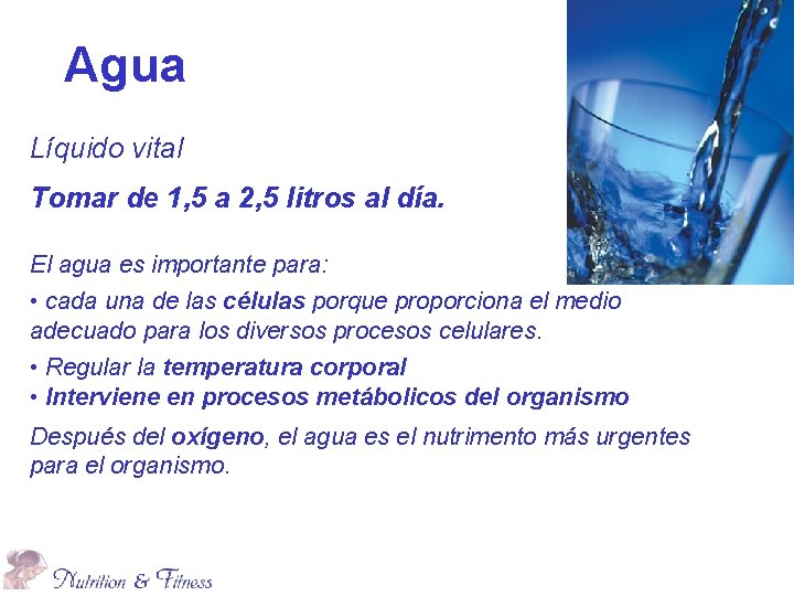 Agua Líquido vital Tomar de 1, 5 a 2, 5 litros al día. El