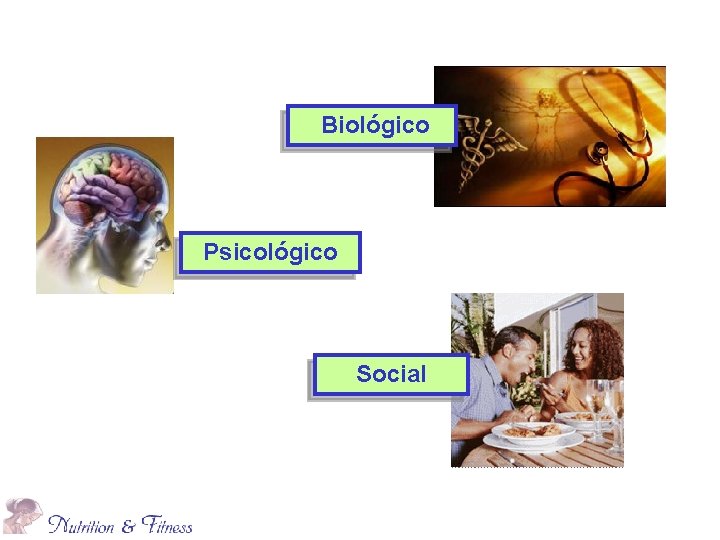 Biológico Psicológico Social 
