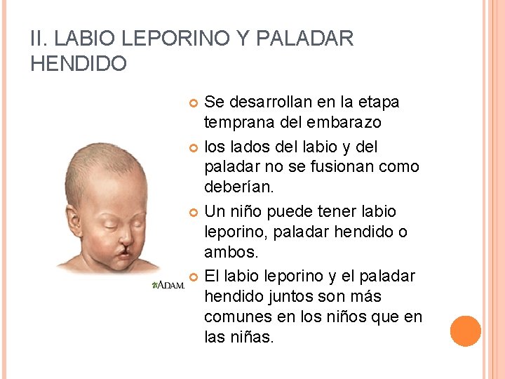 II. LABIO LEPORINO Y PALADAR HENDIDO Se desarrollan en la etapa temprana del embarazo
