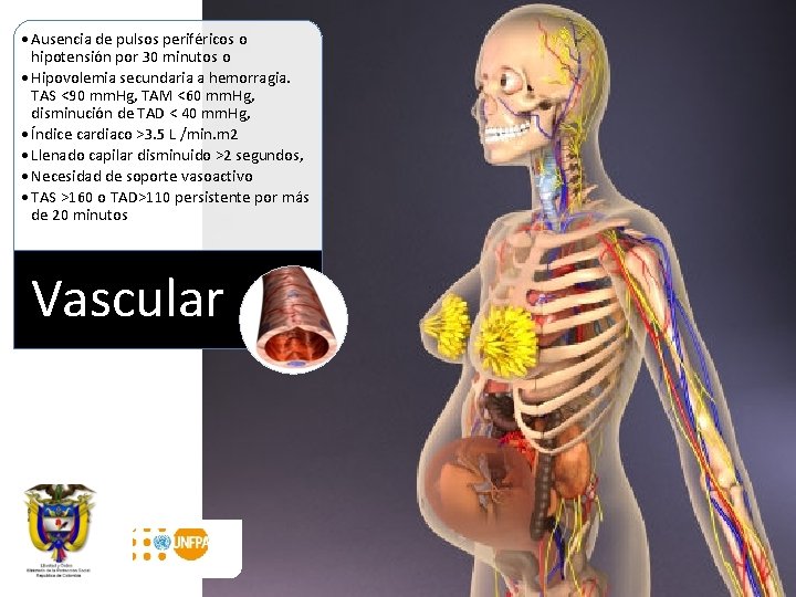  • Ausencia de pulsos periféricos o hipotensión por 30 minutos o • Hipovolemia