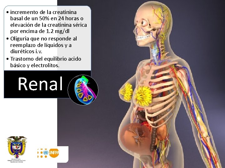  • incremento de la creatinina basal de un 50% en 24 horas o