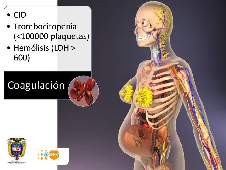  • CID • Trombocitopenia (<100000 plaquetas) • Hemólisis (LDH > 600) Coagulación 