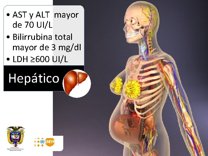  • AST y ALT mayor de 70 UI/L • Bilirrubina total mayor de