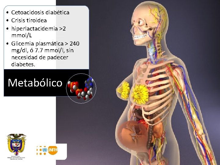  • Cetoacidosis diabética • Crisis tiroidea • hiperlactacidemia >2 mmol/L • Glicemia plasmática