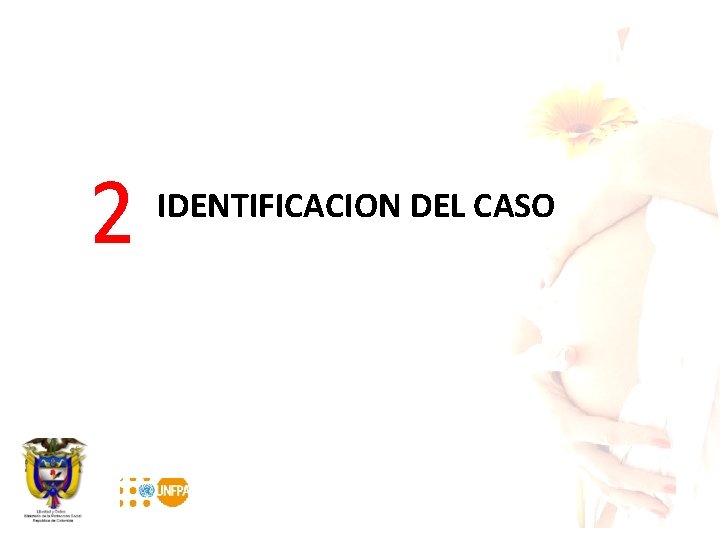 2 IDENTIFICACION DEL CASO 