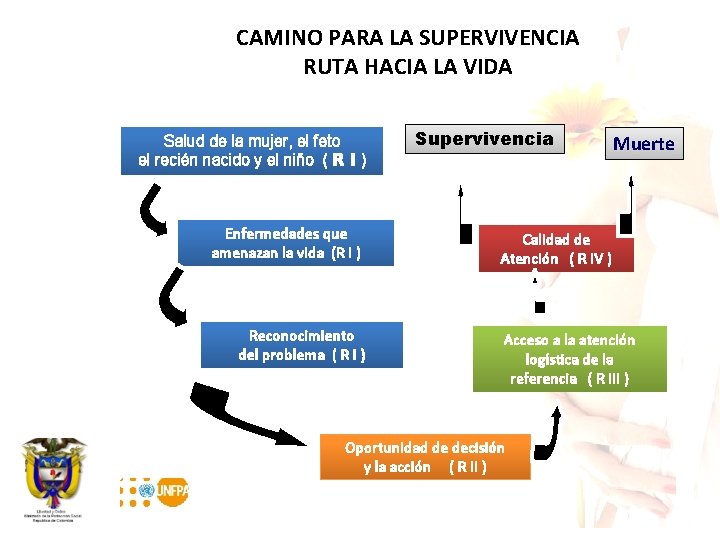 CAMINO PARA LA SUPERVIVENCIA RUTA HACIA LA VIDA Salud de la mujer, el feto