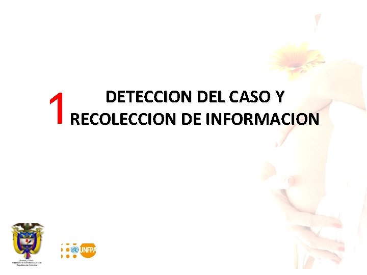 1 DETECCION DEL CASO Y RECOLECCION DE INFORMACION 