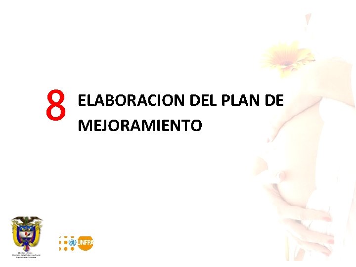 8 ELABORACION DEL PLAN DE MEJORAMIENTO 