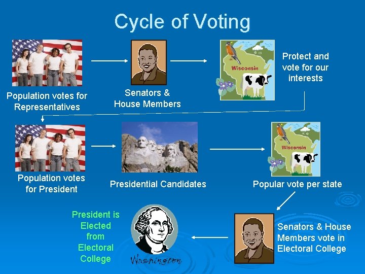 Cycle of Voting Protect and vote for our interests Population votes for Representatives Population