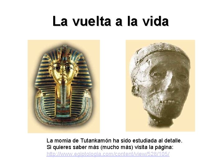La vuelta a la vida La momia de Tutankamón ha sido estudiada al detalle.