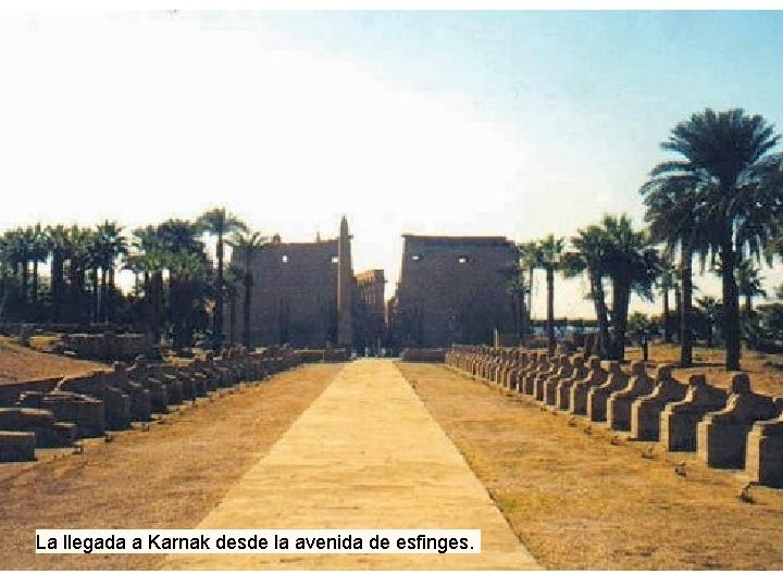 La llegada a Karnak desde la avenida de esfinges. 