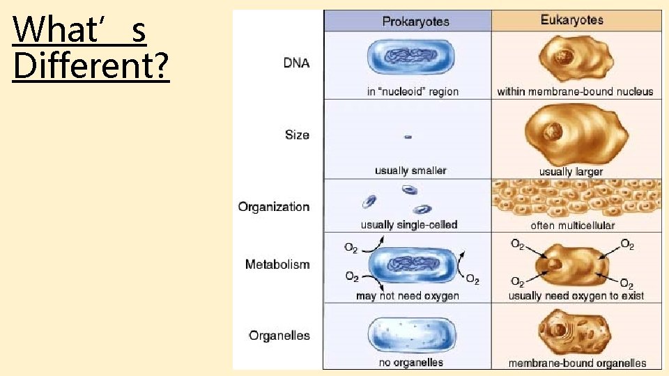 What’s Different? What’s Different?