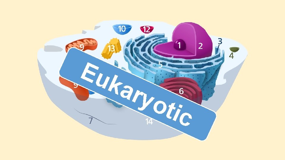 Eu kar yot ic Eu kar yot ic