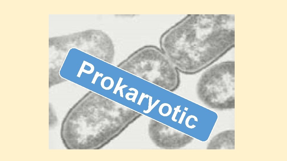 Pro kar yot ic Pro kar yot ic