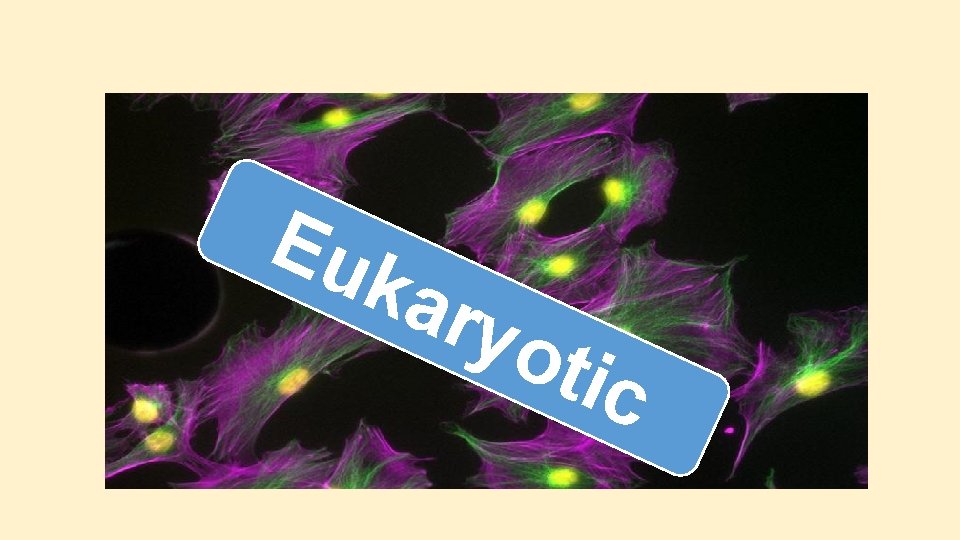 Eu kar yot ic Eu kar yot ic