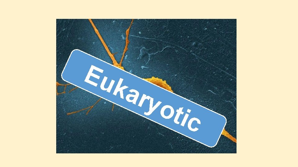 Eu kar yot ic Eu kar yot ic