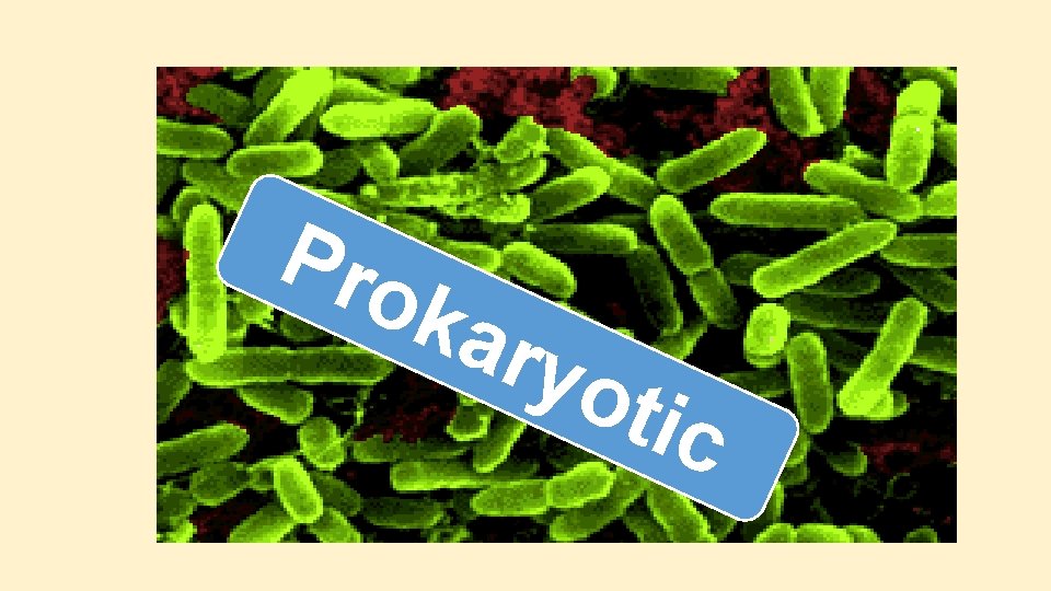 Pro kar yot ic Pro kar yot ic