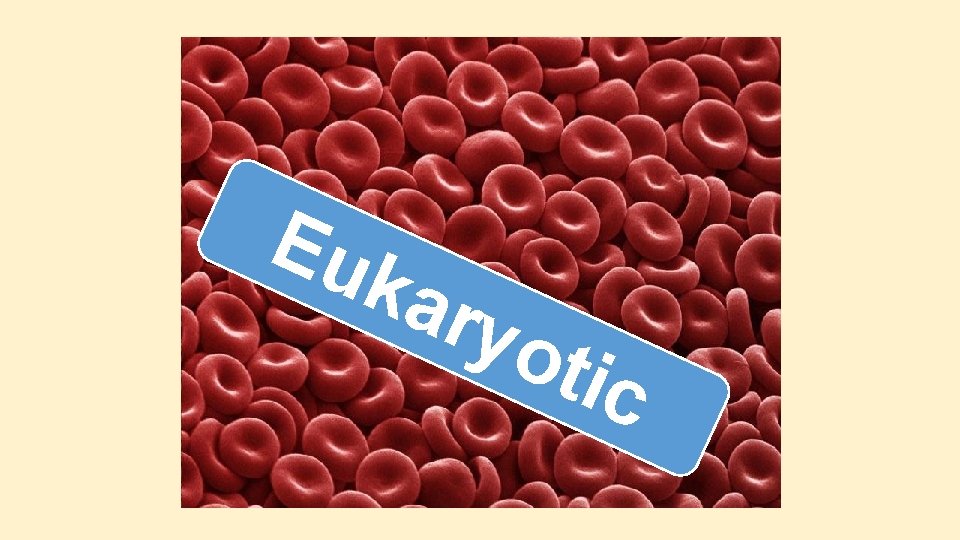 Eu kar yot ic Eu kar yot ic