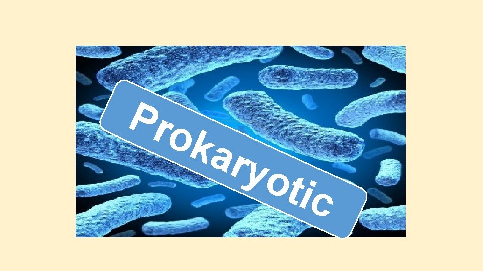 Pro kar yot ic Pro kar yot ic