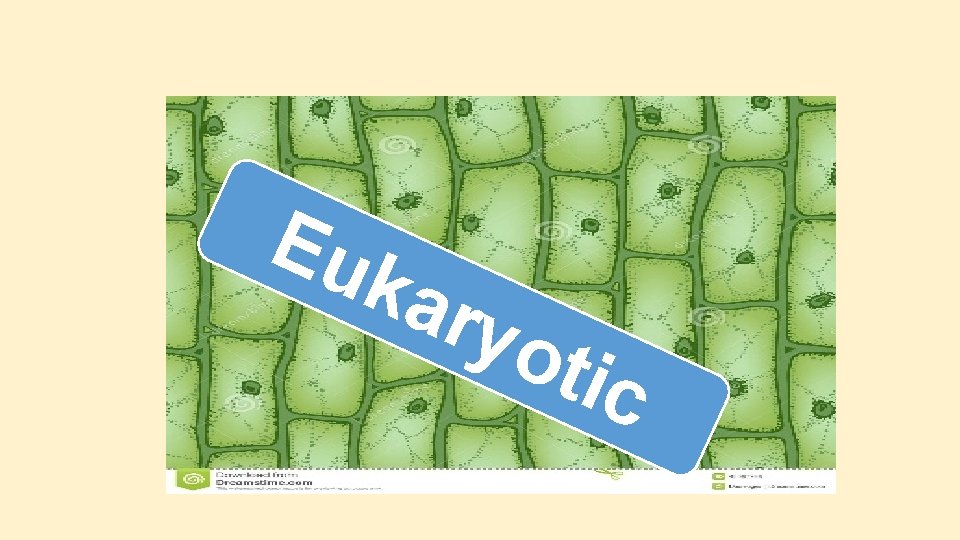 Eu kar yot ic Eu kar yot ic