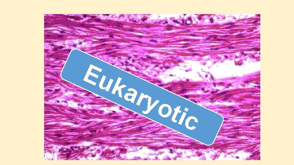 Eu kar yot ic Eu kar yot ic