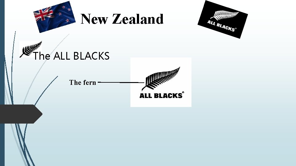 New Zealand The ALL BLACKS The fern 