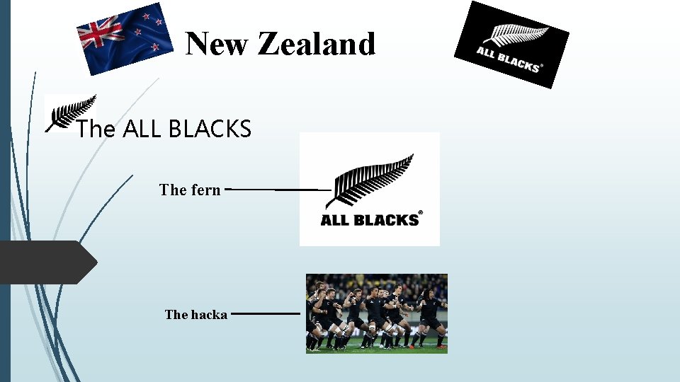 New Zealand The ALL BLACKS The fern The hacka 
