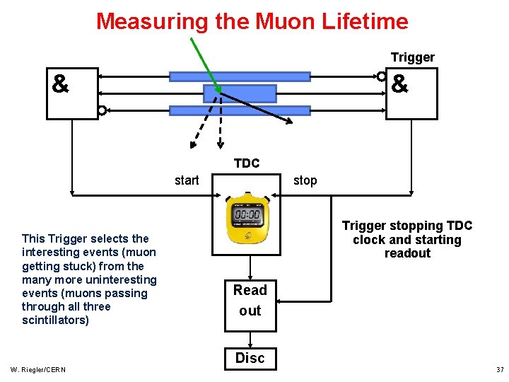Measuring the Muon Lifetime Trigger & & TDC start This Trigger selects the interesting