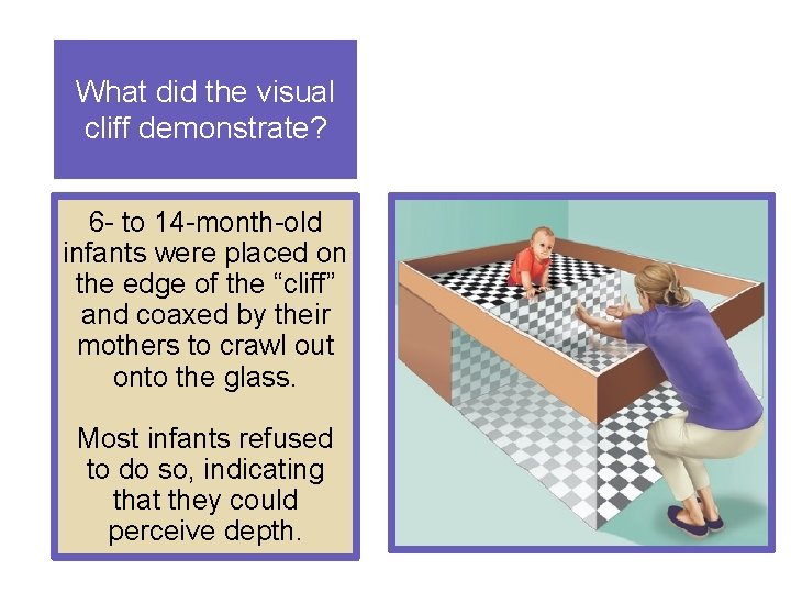 What did the visual cliff demonstrate? 6 - to 14 -month-old infants were placed