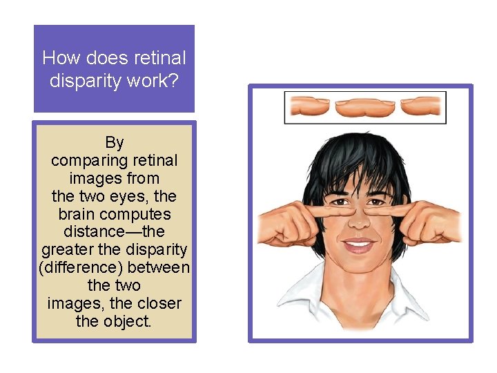 How does retinal disparity work? By comparing retinal images from the two eyes, the