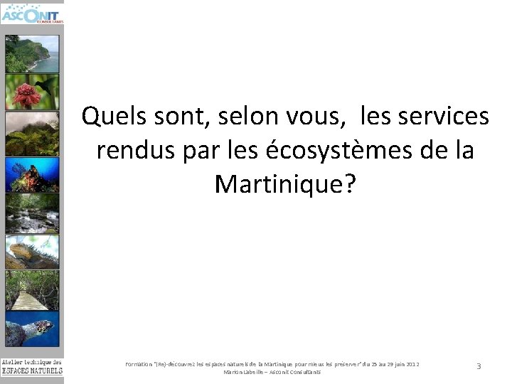 Quels sont, selon vous, les services rendus par les écosystèmes de la Martinique? Formation